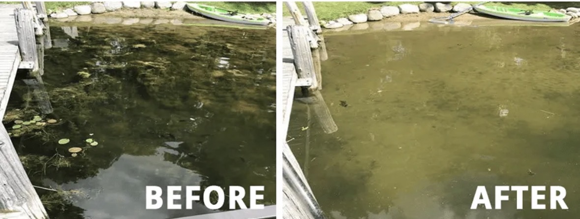 Before and after lakeweed removal comparison showing dock transformation